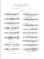 Chopin Polonaises