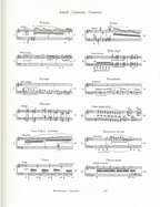 Liszt Transcendental Studies