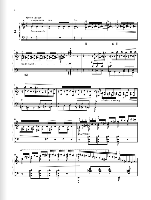 Liszt Transcendental Studies