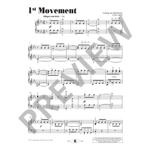 Symphony No. 5 C minor (simple arrangement)