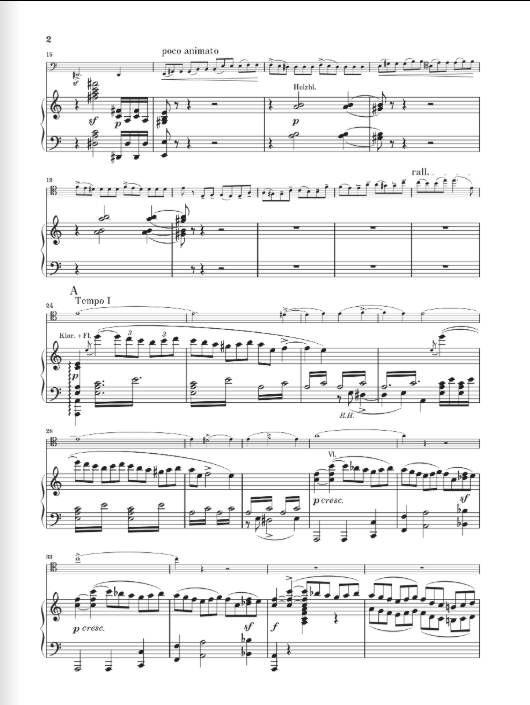 Saint-Saëns Violoncello Concerto no. 1 a minor op. 33