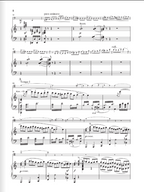Saint-Saëns Violoncello Concerto no. 1 a minor op. 33