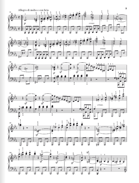 Beethoven Piano Sonata no. 8 c minor op. 13 (Grande Sonata Pathétique)