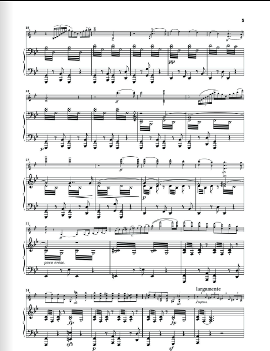 Bruch Violin Concerto g minor op. 26