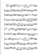 Bach Partita a minor BWV 1013 for Flute solo