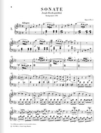 Beethoven Piano Sonatas, Volume I