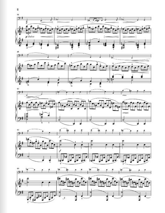 Brahms Violoncello Sonata e minor op. 38
