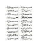 【全譯版】徹爾尼四十首練習曲 作品299