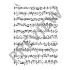 Bach Sonatas and Partitas
