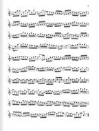 Bach Partita a minor BWV 1013 for Flute solo