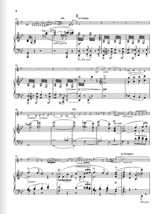 Bruch Violin Concerto g minor op. 26