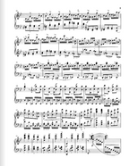 Schumann Piano Sonata g minor op. 22 with original last movement