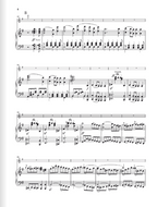 Bartholdy Violin Concerto e minor op. 64