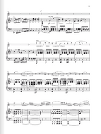 Bartholdy Violin Concerto e minor op. 64