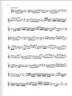 Bach Partita a minor BWV 1013 for Flute solo