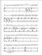 Saint-Saëns Violoncello Concerto no. 1 a minor op. 33