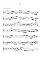 大譜版 費華 練習曲  上冊