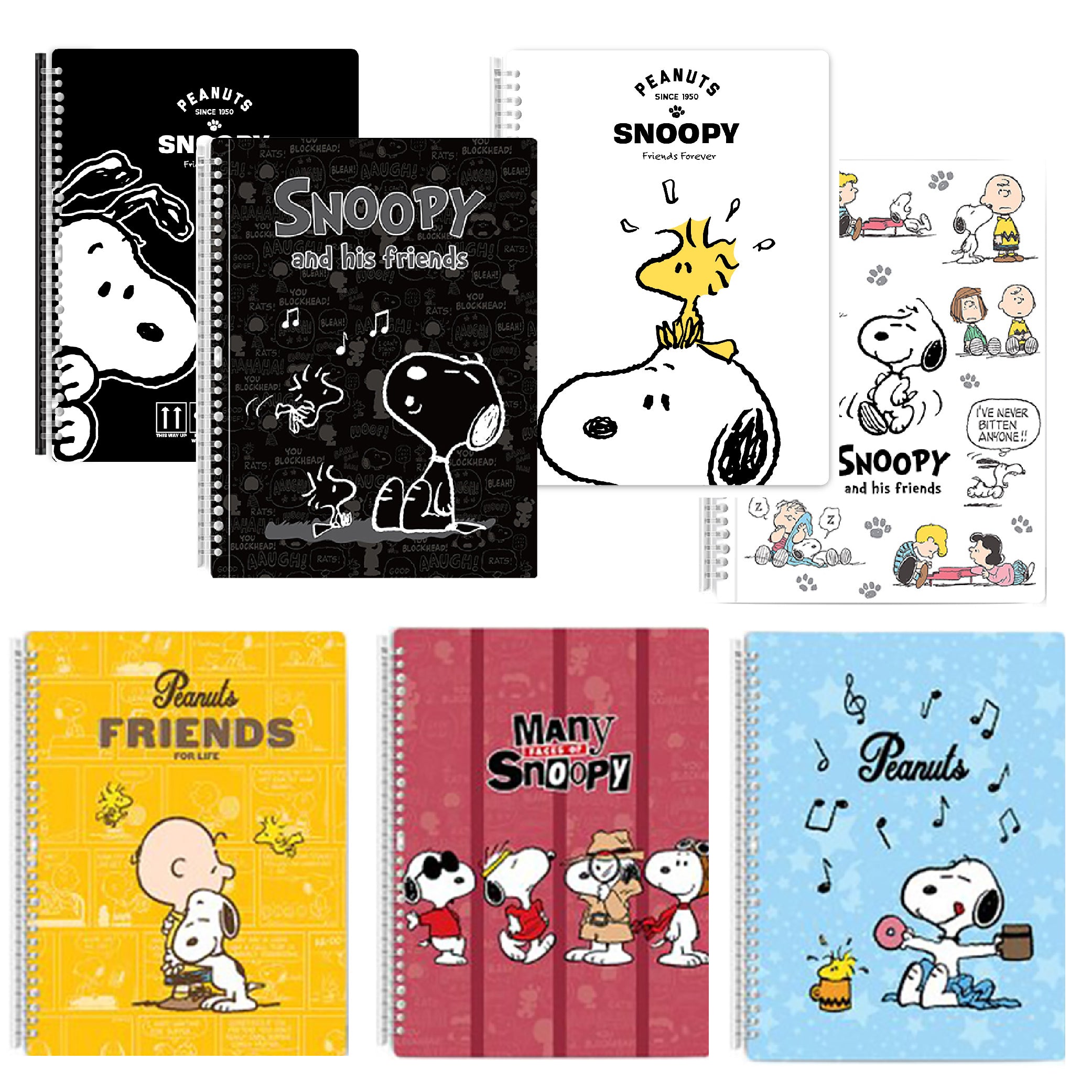 史努比系列 A4不反光活頁樂譜夾