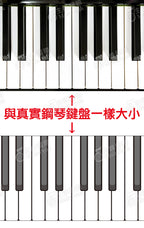 53鍵 紙鍵盤