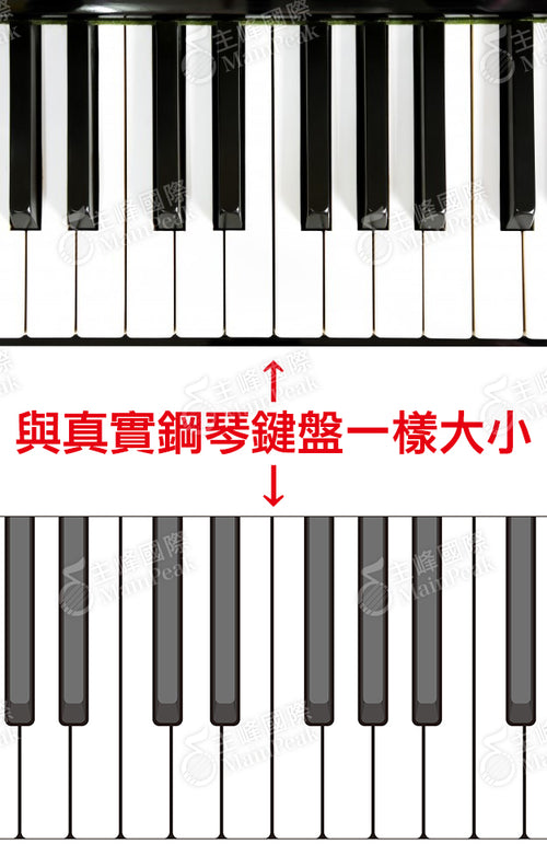 53鍵 紙鍵盤