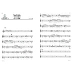 日本 DOREMI 宮崎駿動畫高音直笛曲集