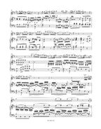 Concerto for Flute and Orchestra in G major K. 313 (285c)