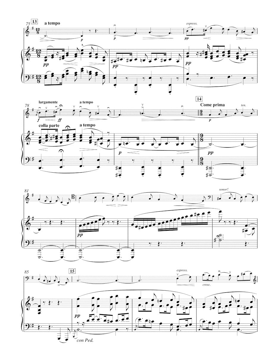 Concerto for Violoncello and Orchestra in E minor op. 85