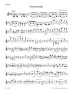 Sonata Movement from the F.A.E. Sonata for Violin and Piano in C minor WoO 2