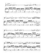 Sonata in C major for Flute and Basso continuo / Sonatas in E-flat major and G minor for Flute and obbligato Harpsichord BWV 1033, 1031, 1020