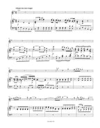 Concerto for Flute and Orchestra in D major K. 314 (285d)